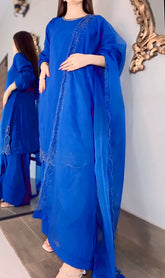 Shesha Silk Handwork Cut Dana Suit with Fancy Shalwar & Long Border Dupatta